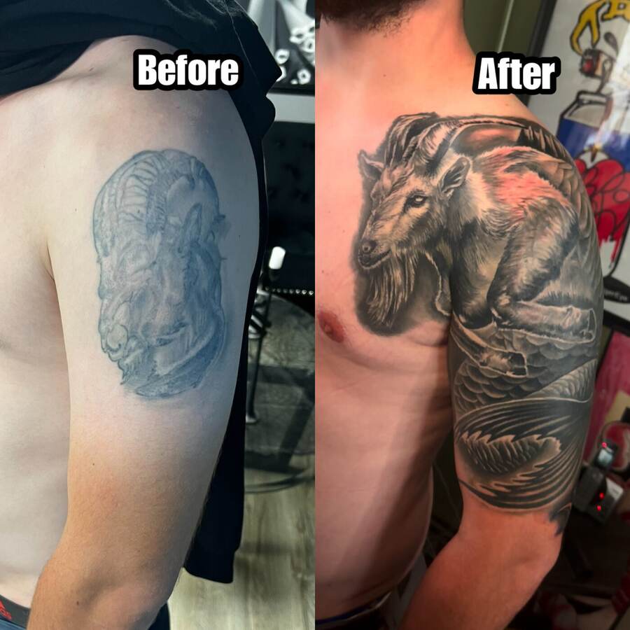 Goat Cover-Up