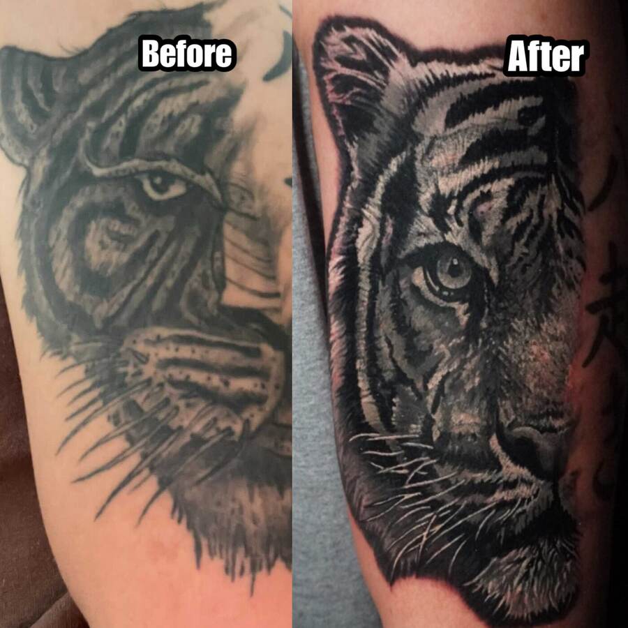 Tiger Cover-Up